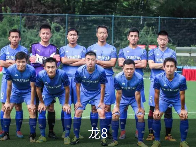 龙8品牌故事